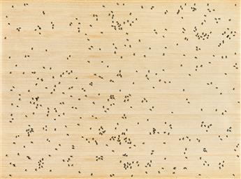 ED RUSCHA Insects.